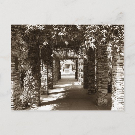 botanischer Pfad Postkarte (Vorderseite)