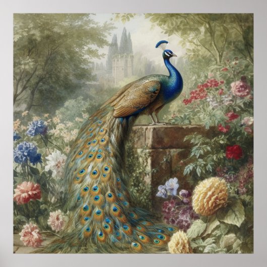 Botanischer Pfau bei Schloss im englischen Garten Poster (Vorne)