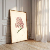 Botanischer Phlox-Wandkunst-Druck Poster