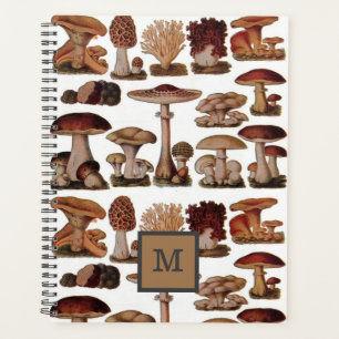 Botanischer Pilz aus Vintagem Holz Planer