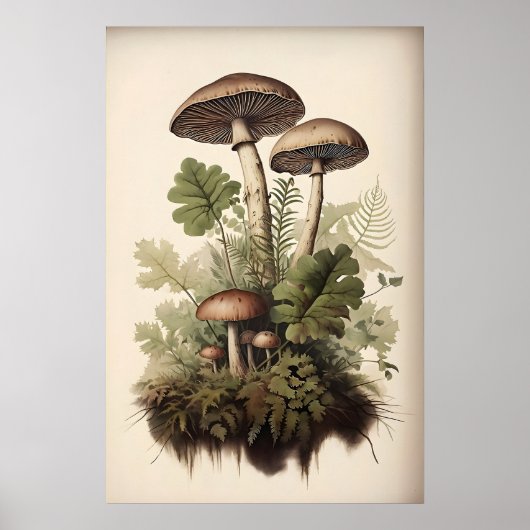 Botanischer Pilzdruck, Moosfarn, Vintage Poster (Vorne)