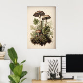 Botanischer Pilzdruck, Moosfarn, Vintage Poster (Heimbüro)