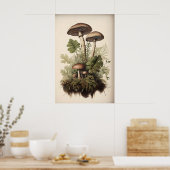 Botanischer Pilzdruck, Moosfarn, Vintage Poster (Küche)