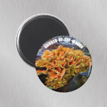 Botanischer Pilzhühner des Waldes