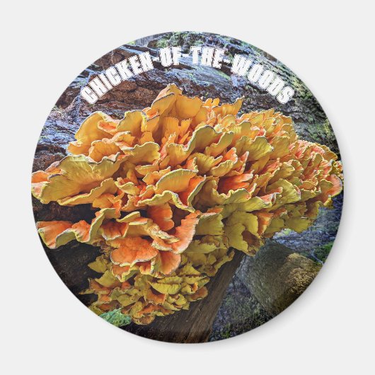 Botanischer Pilzhühner des Waldes Magnet (Vorne)