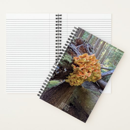 Botanischer Pilzhühner des Waldes Notizblock (Innen)