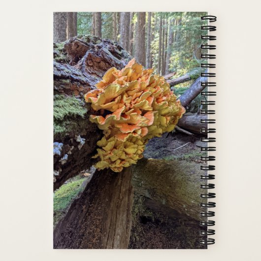 Botanischer Pilzhühner des Waldes Notizblock (Rückseite)