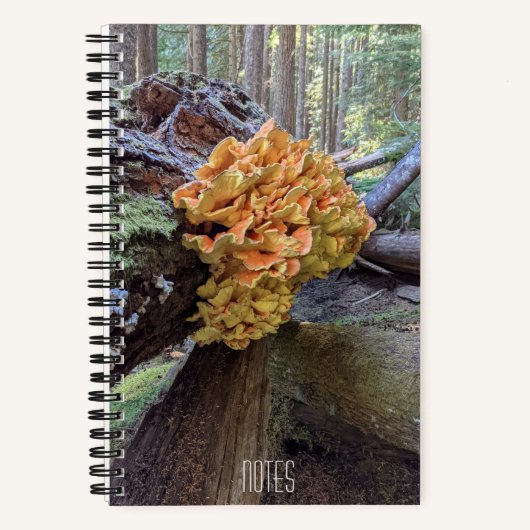 Botanischer Pilzhühner des Waldes Notizblock (Vorderseite)