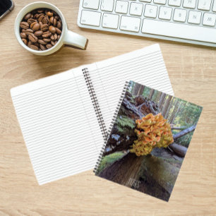 Botanischer Pilzhühner des Waldes Notizblock