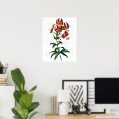 Botanischer PREMIUM-QUALITÄTSDruck aus roter Lilie Poster (Heimbüro)