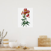 Botanischer PREMIUM-QUALITÄTSDruck aus roter Lilie Poster (Küche)