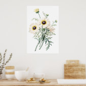 Botanischer PREMIUM-QUALITÄTSdruck Chrysanthemum Poster (Küche)