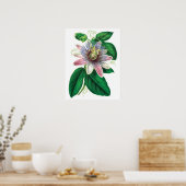 Botanischer PREMIUM-QUALITÄTSDruck der Passiflora Poster (Küche)