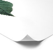 Botanischer PREMIUM-QUALITÄTSdruck der Rose Poster (Ecke)