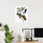 Botanischer PREMIUM-QUALITÄTSDruck von Magnolien Poster (Heimbüro)
