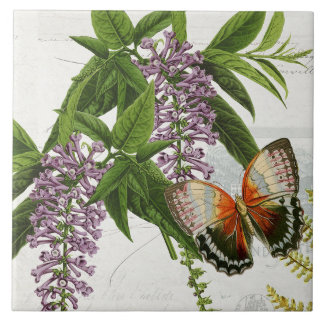 Botanischer Schmetterling Lila Wisteria Vintage 1 Fliese