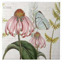 Botanischer Schmetterling Pink Wildblume Fern Vint