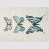 Botanischer Schmetterling Vintag Dusty Blue Decoup Seidenpapier (Vorderseite)