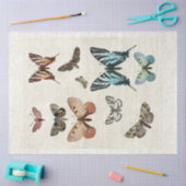 Botanischer Schmetterling Vintager Blaupfirsichtsc Seidenpapier (Basteln)