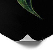 Botanischer Tigerlilie-Premiumdruck Poster (Ecke)