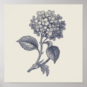 Botanischer Toile-Stoff   Hortensien-Vignette Poster