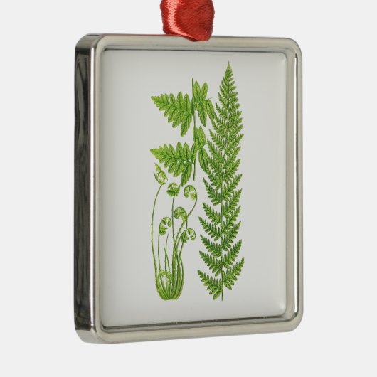 Botanischer tropischer Dekor der Ornament Aus Metall (Rechts)