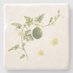 Botanischer Wassermelonenranke Steinuntersetzer