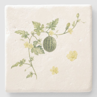Botanischer Wassermelonenranke Steinuntersetzer