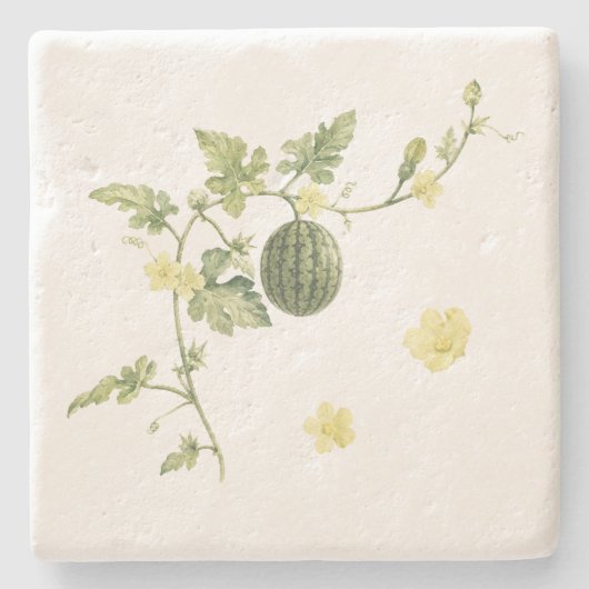 Botanischer Wassermelonenranke Steinuntersetzer (Vorderseite)
