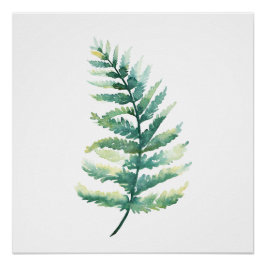 Botanisches Aquarell-Poster an der Fern Frontseite Poster