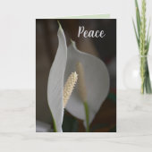 Botanisches Beileid "White Peace Lily" Karte (Vorderseite)