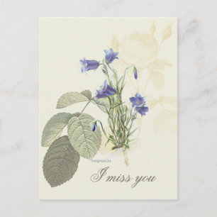 Botanisches Blaues Glockenblümchen 1 Postkarte