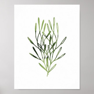Botanisches Drucktrio Poster