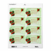 Botanisches Erdbeernahrungsmittel (Vorne)