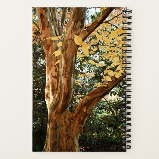 Botanisches Foto Notizblock (Rückseite)