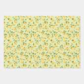 Botanisches Frucht-Zitronenfrucht- und Picknickest Geschenkpapier Set (Vorderseite)