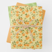 Botanisches Fruitorangen- und Picknick Geschenkpapier Set (Beispiel)