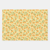 Botanisches Fruitorangen- und Picknick Geschenkpapier Set (Vorderseite)