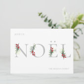 Botanisches gepflegtes WEIHNACHTEN Ferienwohnung K (Stehend Vorderseite)