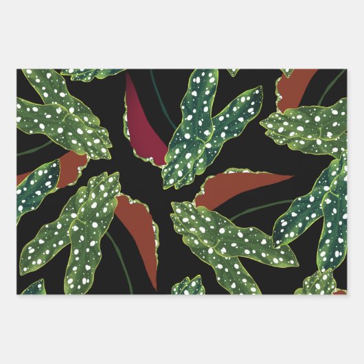 Botanisches Gepunktetes Begonia Blätter Wrapping P (Vorderseite 3)