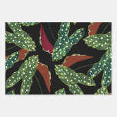 Botanisches Gepunktetes Begonia Blätter Wrapping P (Vorderseite 2)