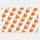 Botanisches Geschenkpapier Set (Vorderseite 2)