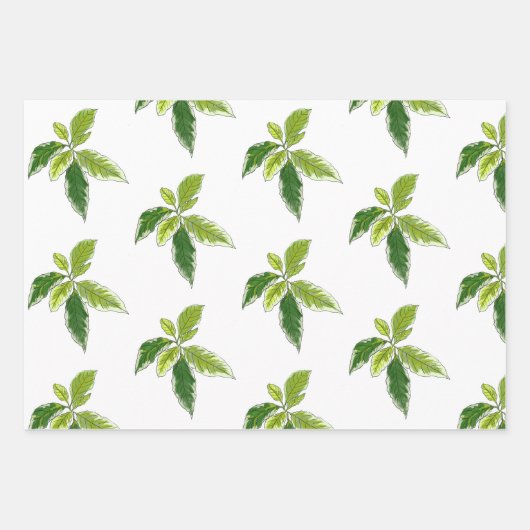 Botanisches Geschenkpapier Set (Vorderseite)