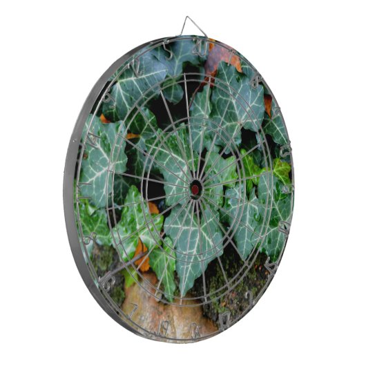 Botanisches grünes Ivy und Felsstein Dartscheibe (Vorderseite Links)