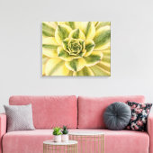 Botanisches, grünes Sukkulentfoto auf der Leinwand (Insitu (Wohnzimmer))