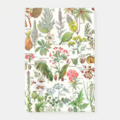 Botanisches Illustrationen-Larousse Pflanzen Post-it Klebezettel (Vorderseite)