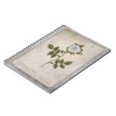 Botanisches IllustrationsNotebook - Weiße Rose Notizblock (Linke Seite)