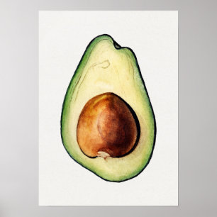 Botanisches Illustrationspopster Poster