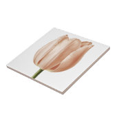 Botanisches Kunstdesign mit weichem Pfirsich Fliese (Seite)