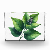 Botanisches Leaf und Blüten Fotoblock (Vorderseite)